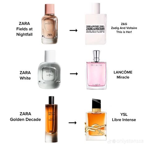 ysl perfume zara dupe|10 Zara Perfumes That Make Good Dupes for Designer Perfumes.